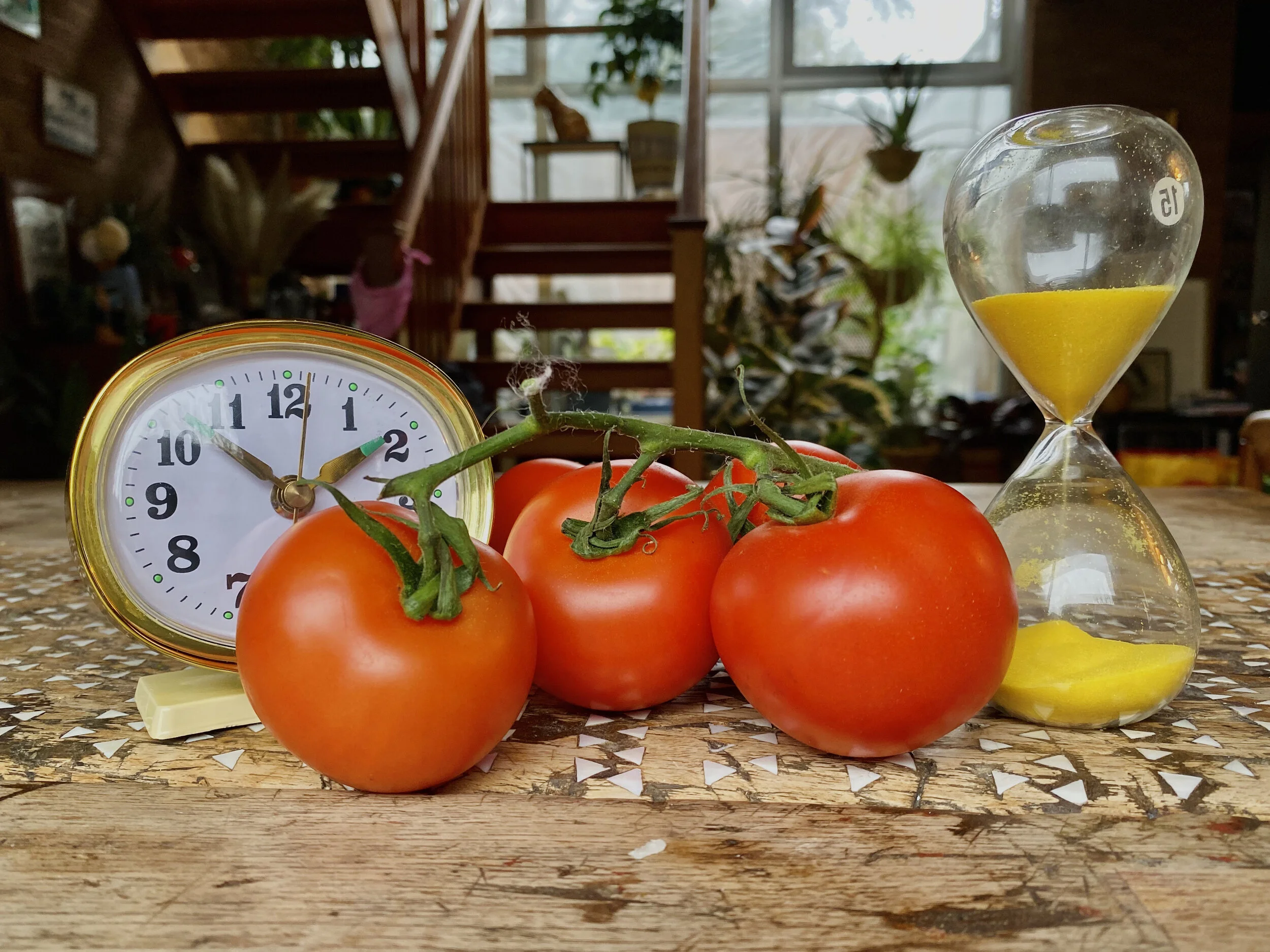 TOMATO TIMER - THE POMODORO TECHNIQUE