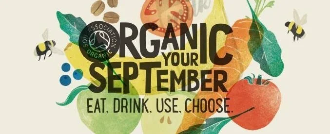 MY FAVOURITE ‘ORGANIC AT HOME’ PRODUCTS