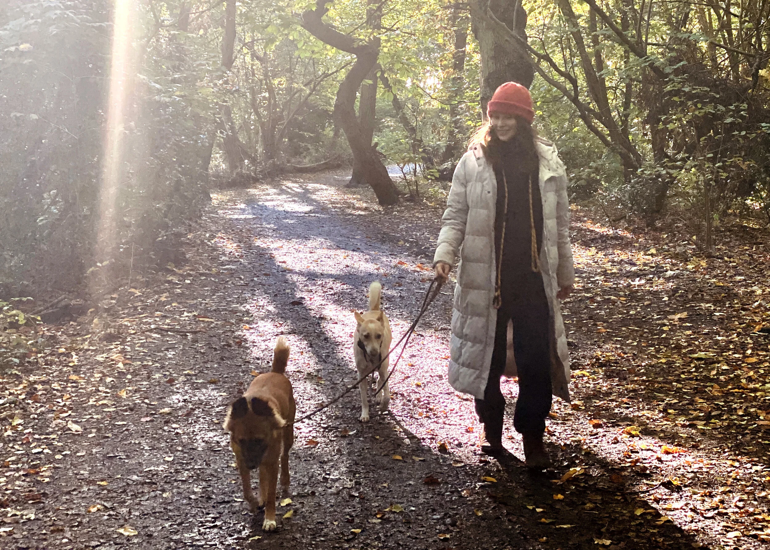 JasmineHemsley_DogWalking_Woods (1).jpg