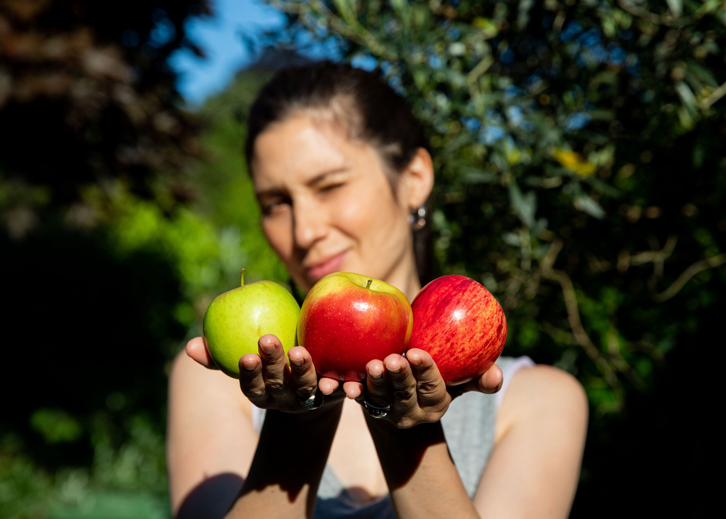 WORLD ENVIRONMENT DAY - ORGANIC VS BIODYNAMIC VS REGENERATIVE FARMING