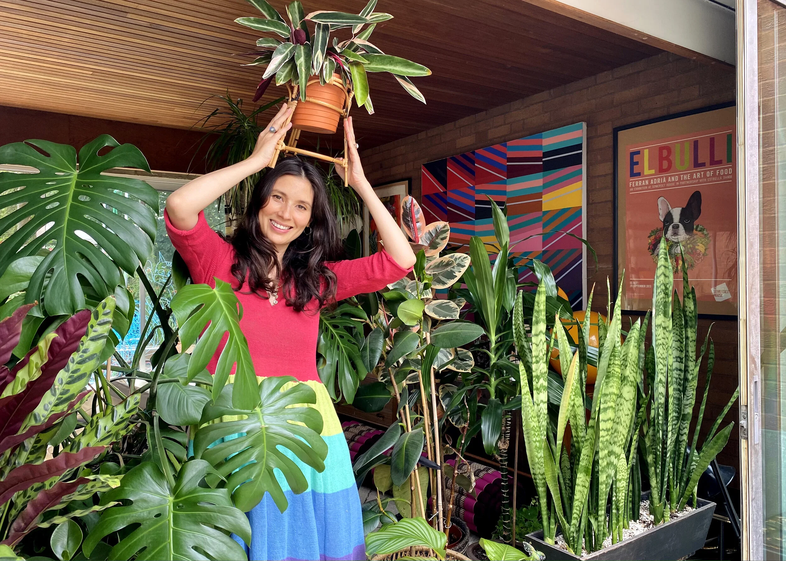 HOW TO DEAL WITH HOUSEPLANT PESTS