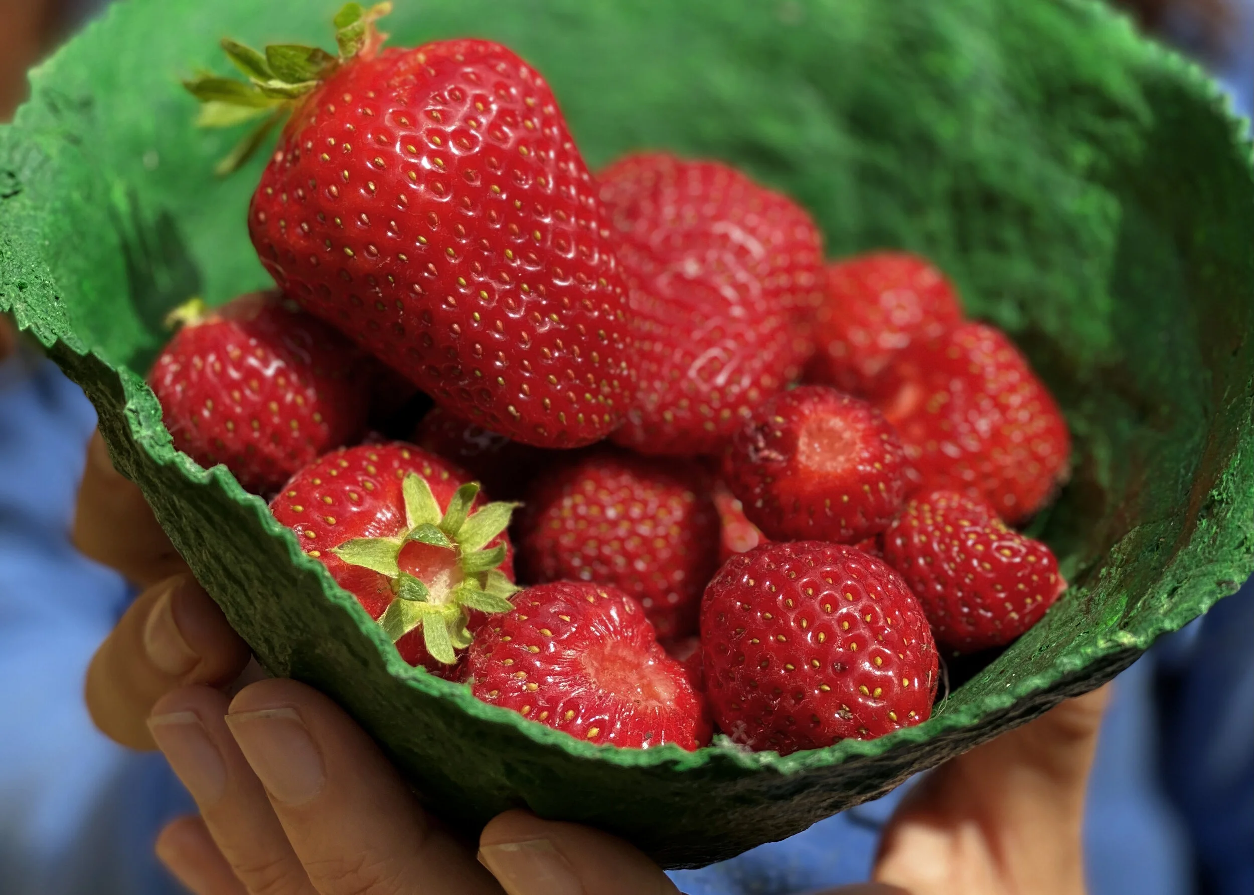 WHAT’S IN SEASON: SUMMER