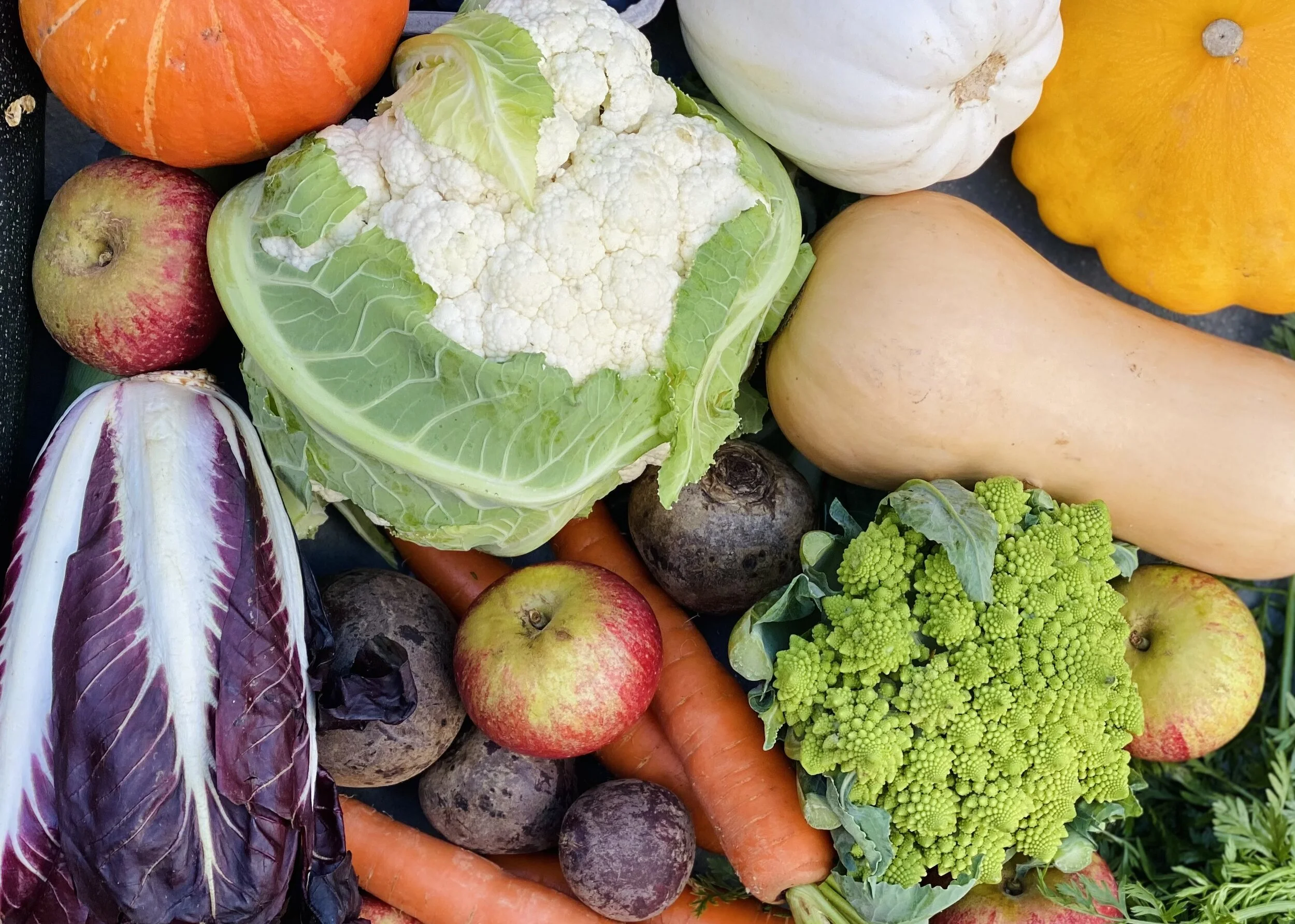 WHAT'S IN SEASON: AUTUMN