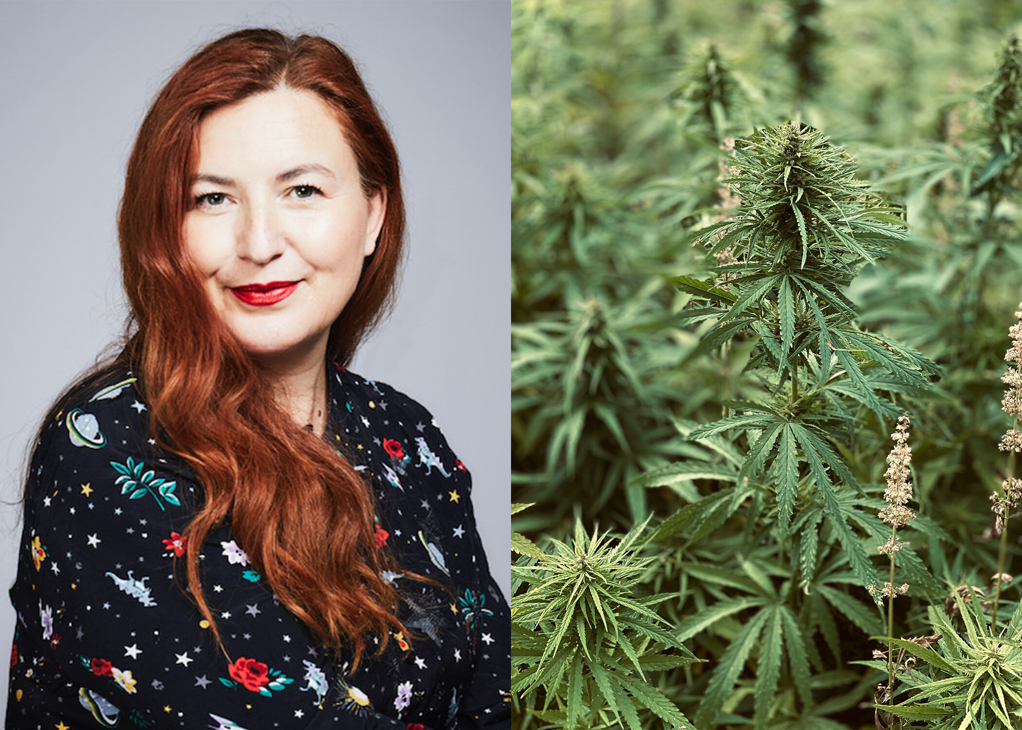 EVERYTHING YOU NEED TO KNOW ABOUT CBD