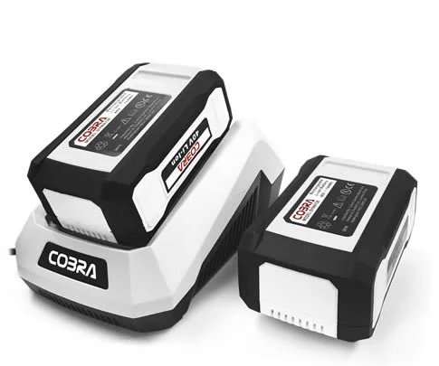 40v batteryx2.jpg