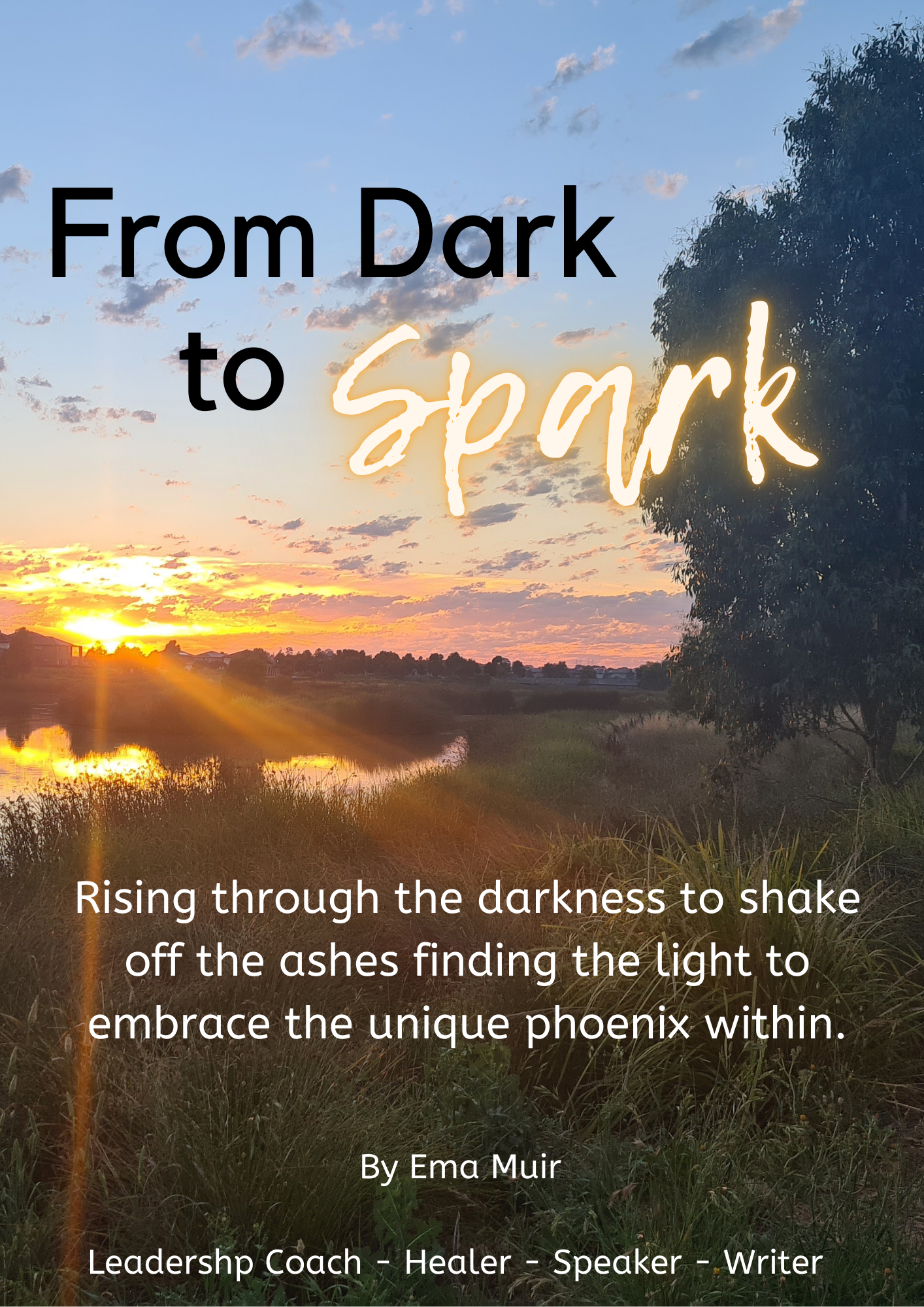 Dark to Spark cover.png
