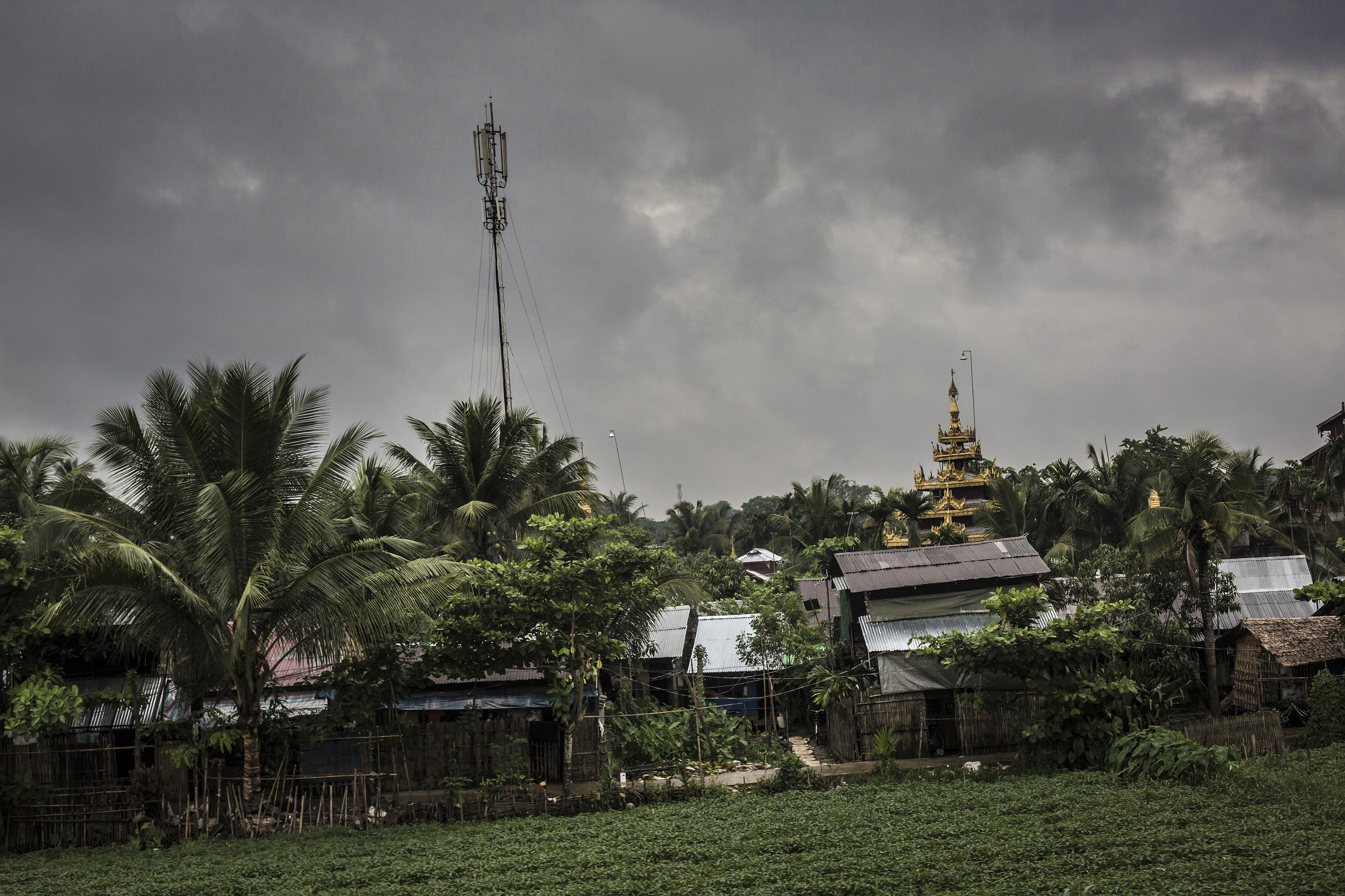 MW_App Dev_Yangon_00048.jpg