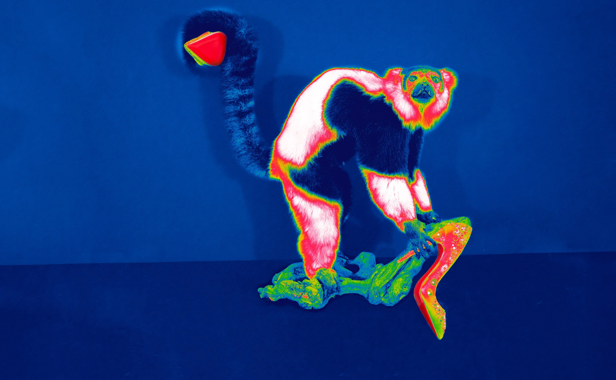DSCF6256.jpg