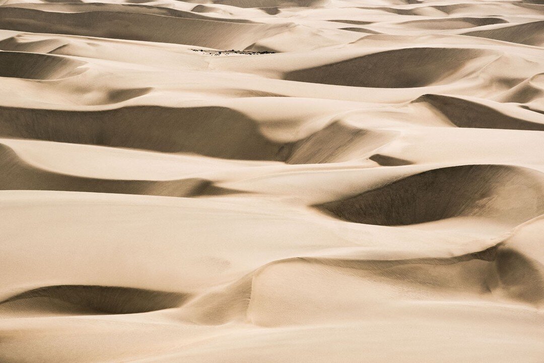 &quot;Time Untamed&quot;⁠
Series 6 of 7⁠
Image 4 of 5