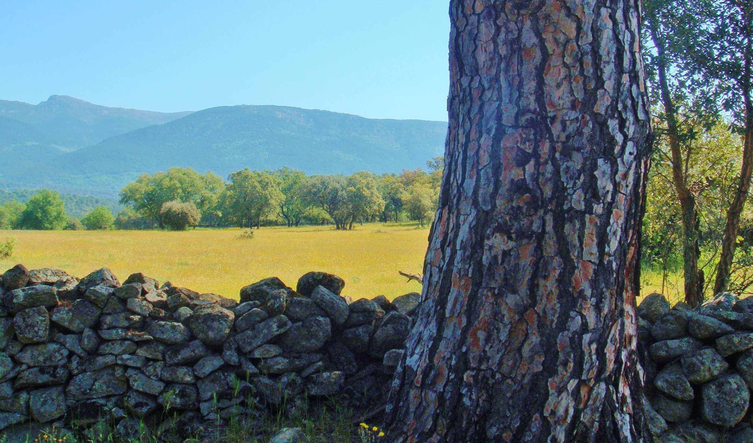 header castilla-leon.JPG