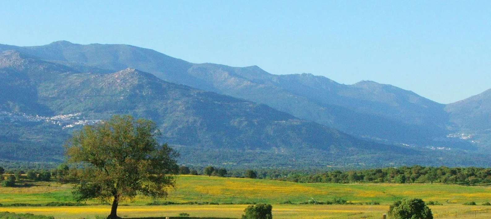 header extremadura.JPG