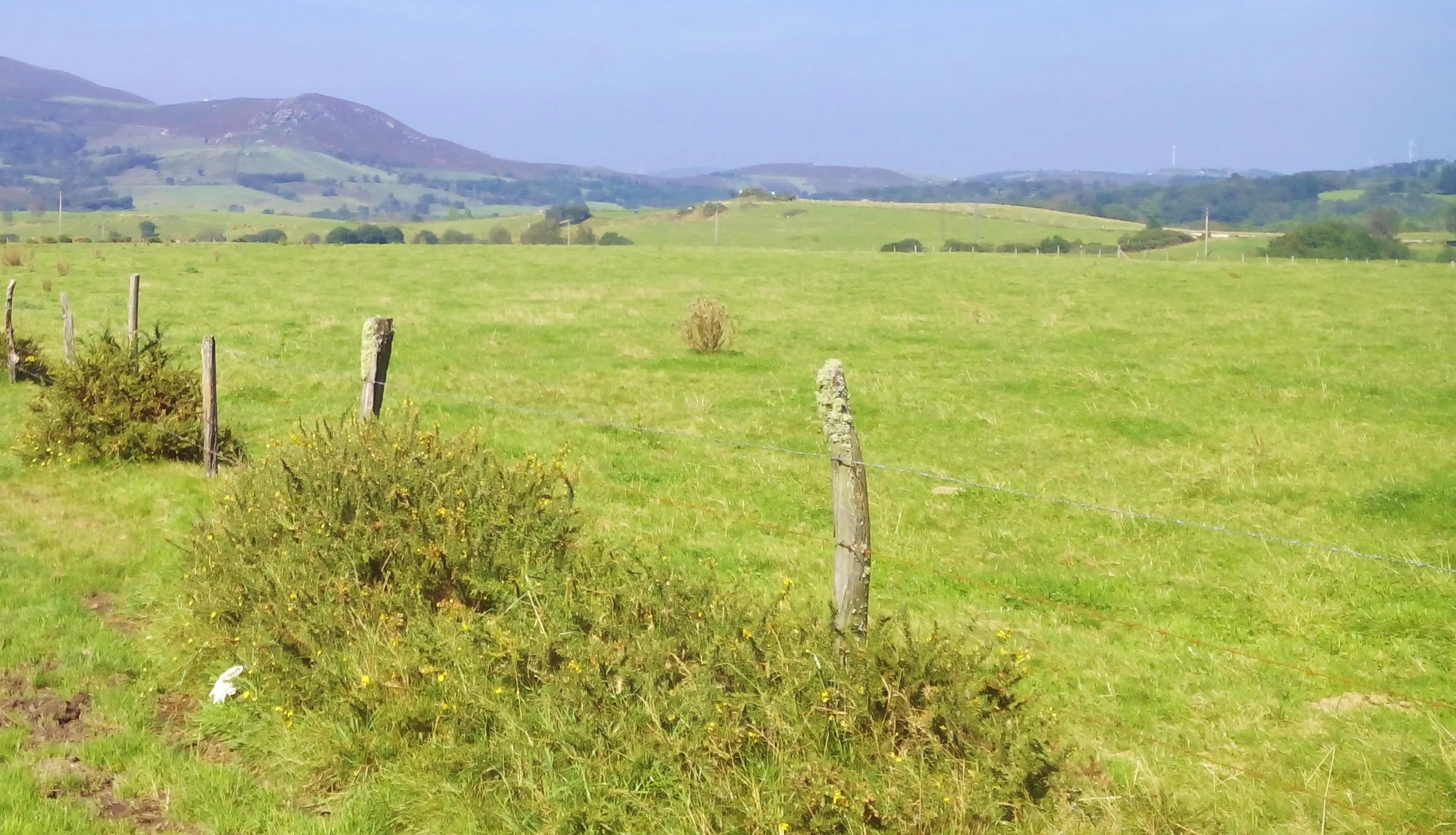 header galicia.jpg