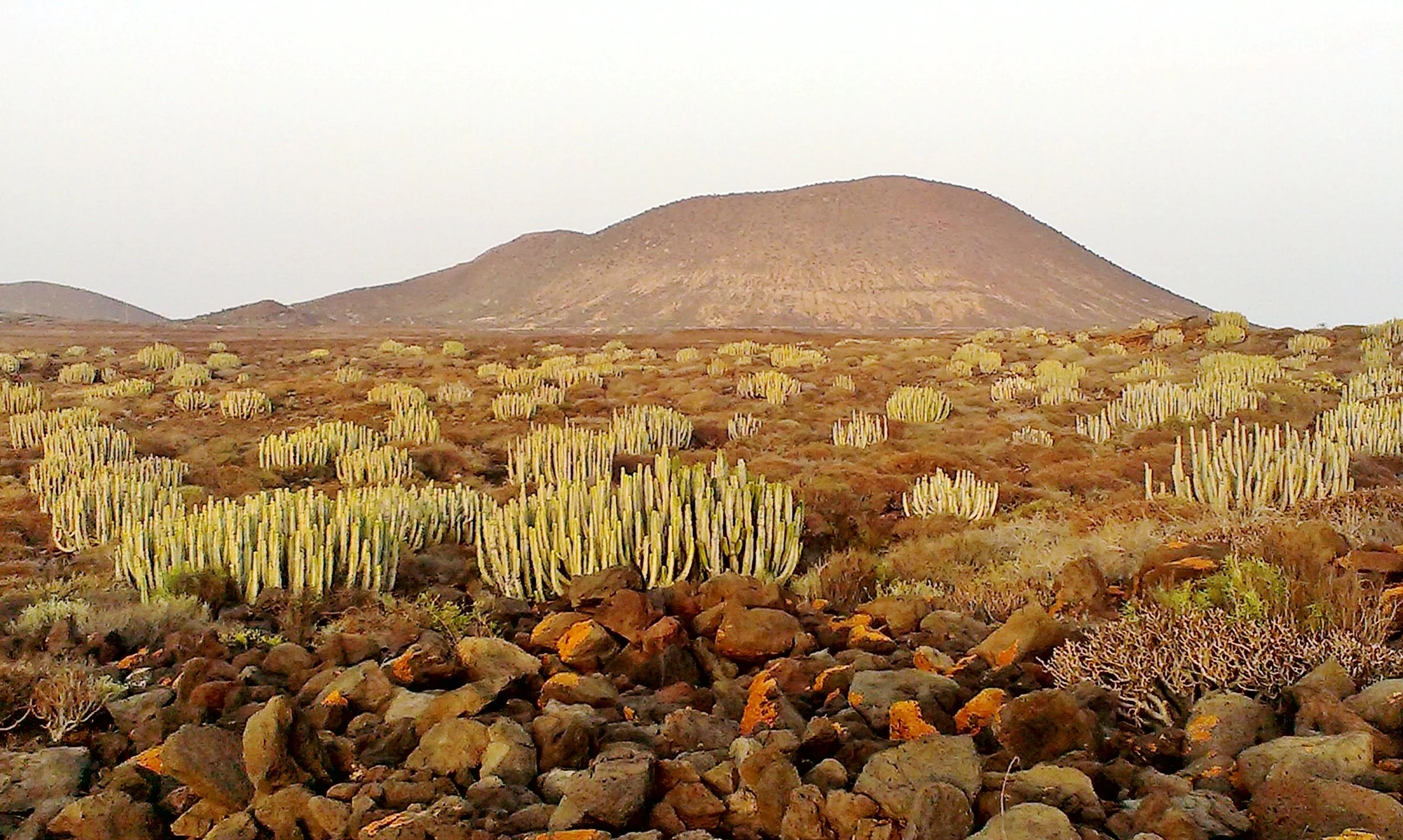 header canarias.jpg