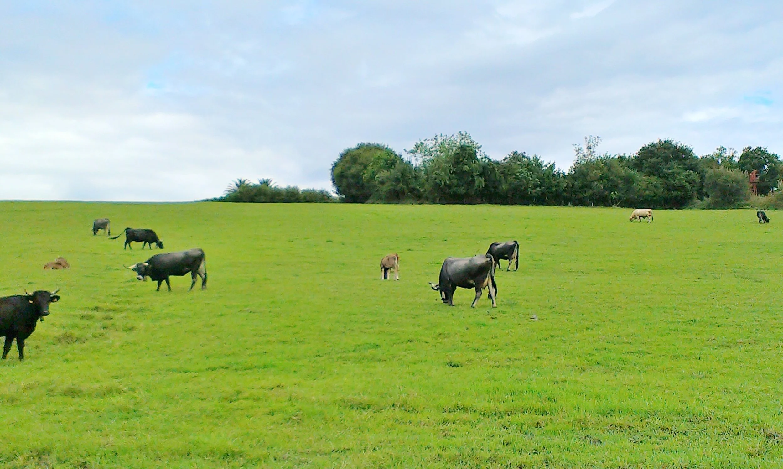 header cantabria.jpg