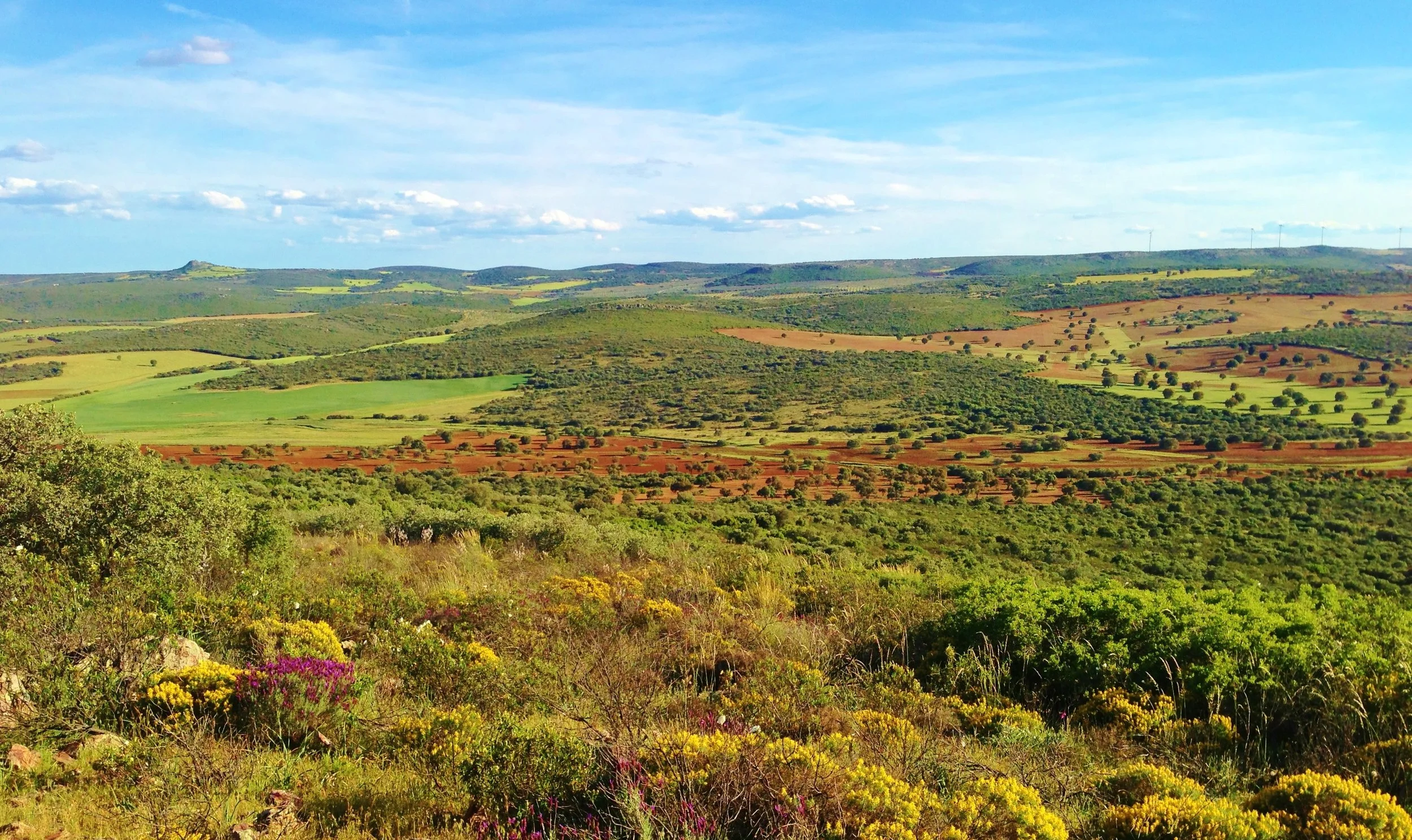 header castilla la mancha.JPG