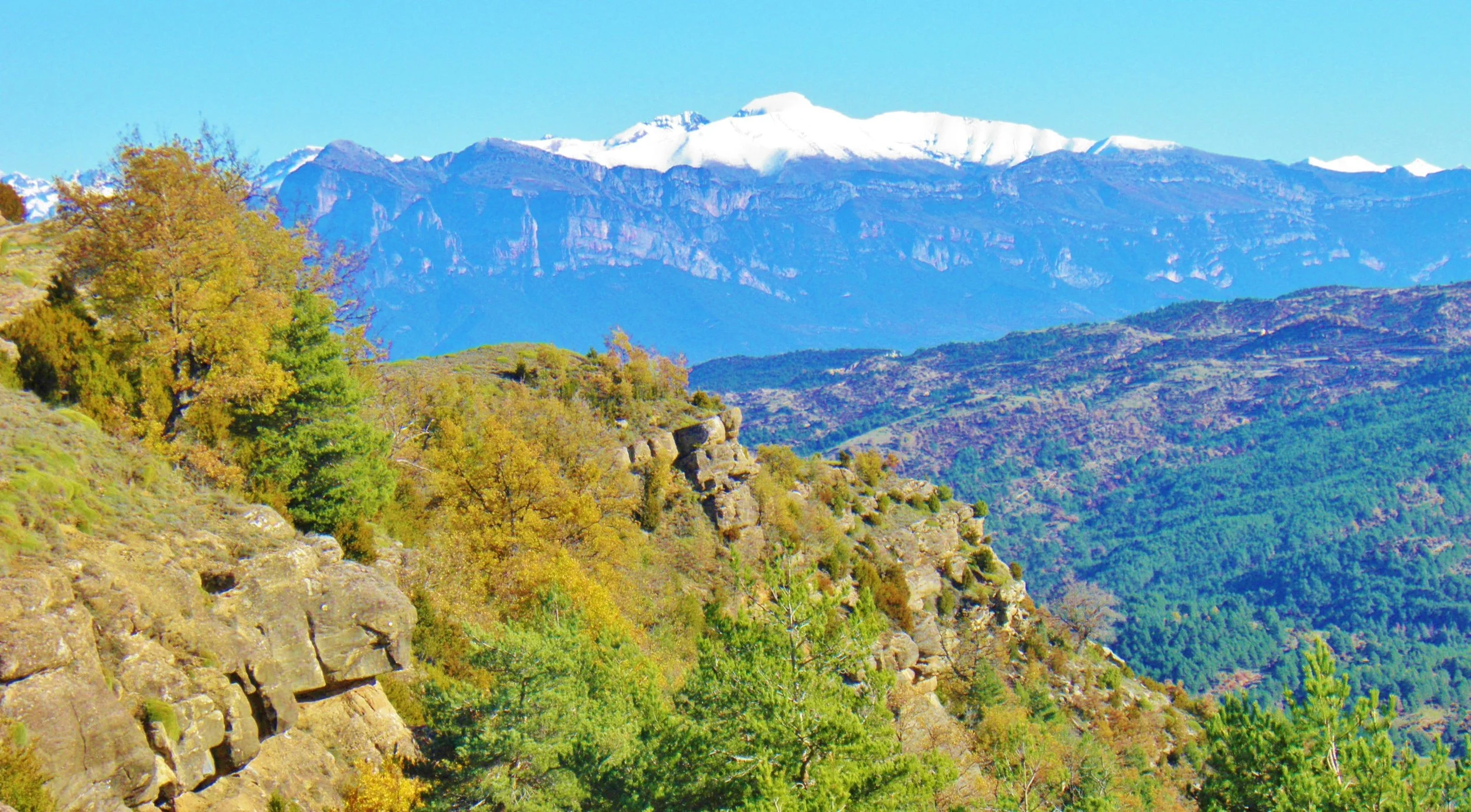 header-aragon (2).JPG