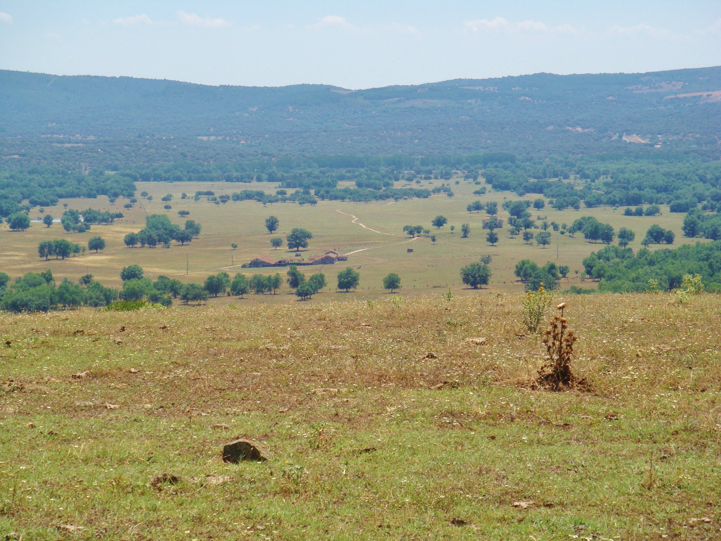 DSC03281 - copia.JPG