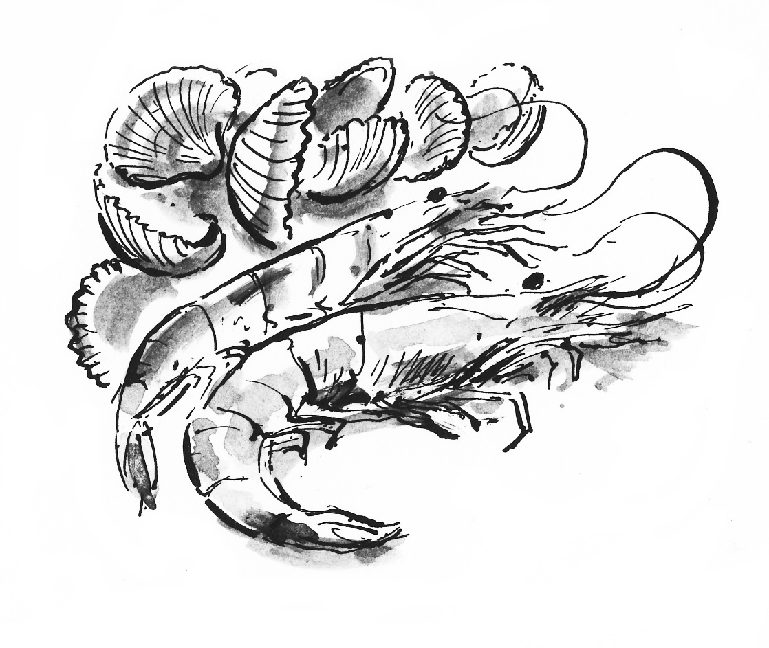 Cumbrian prawns