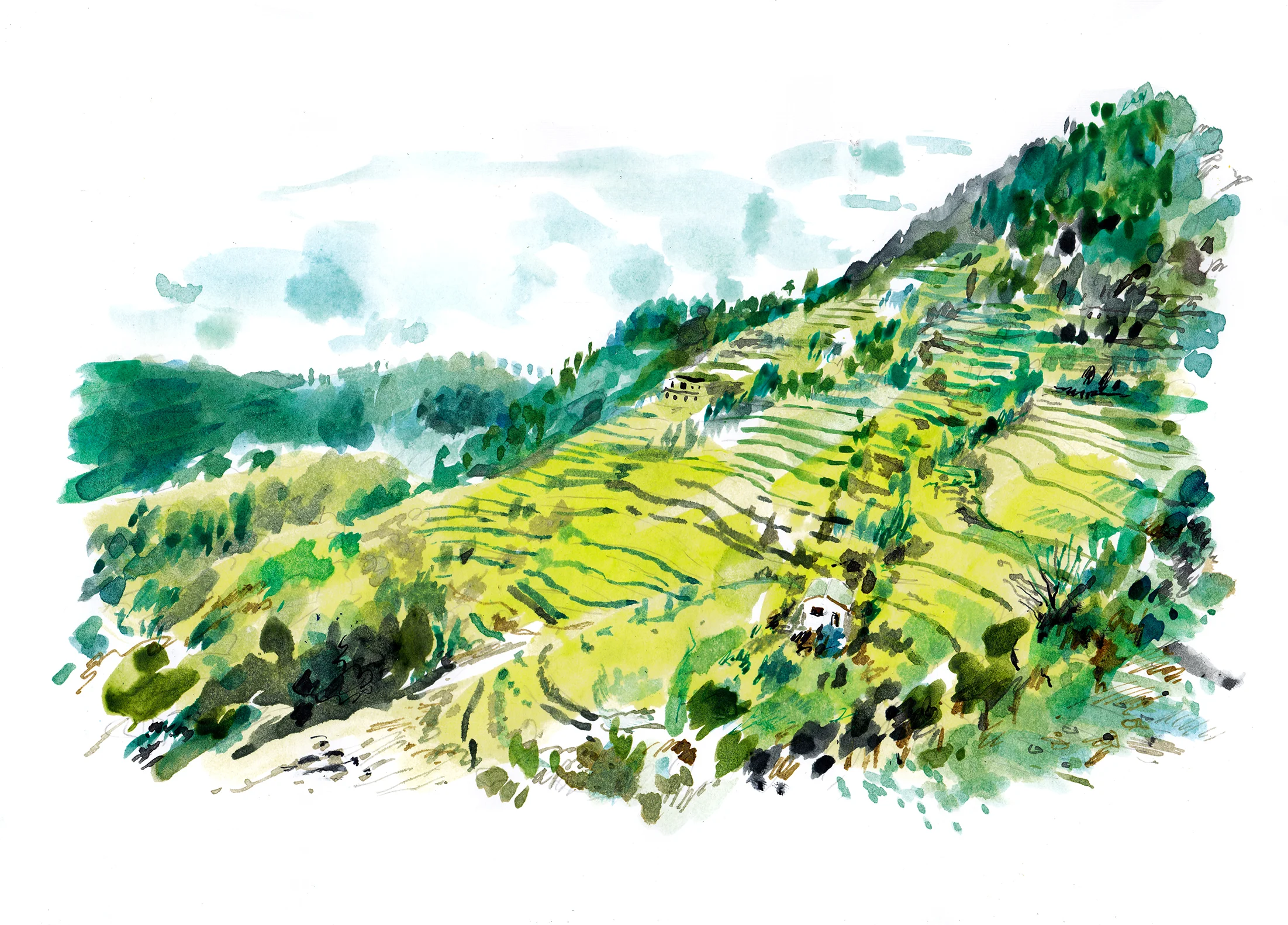 Missouri hills