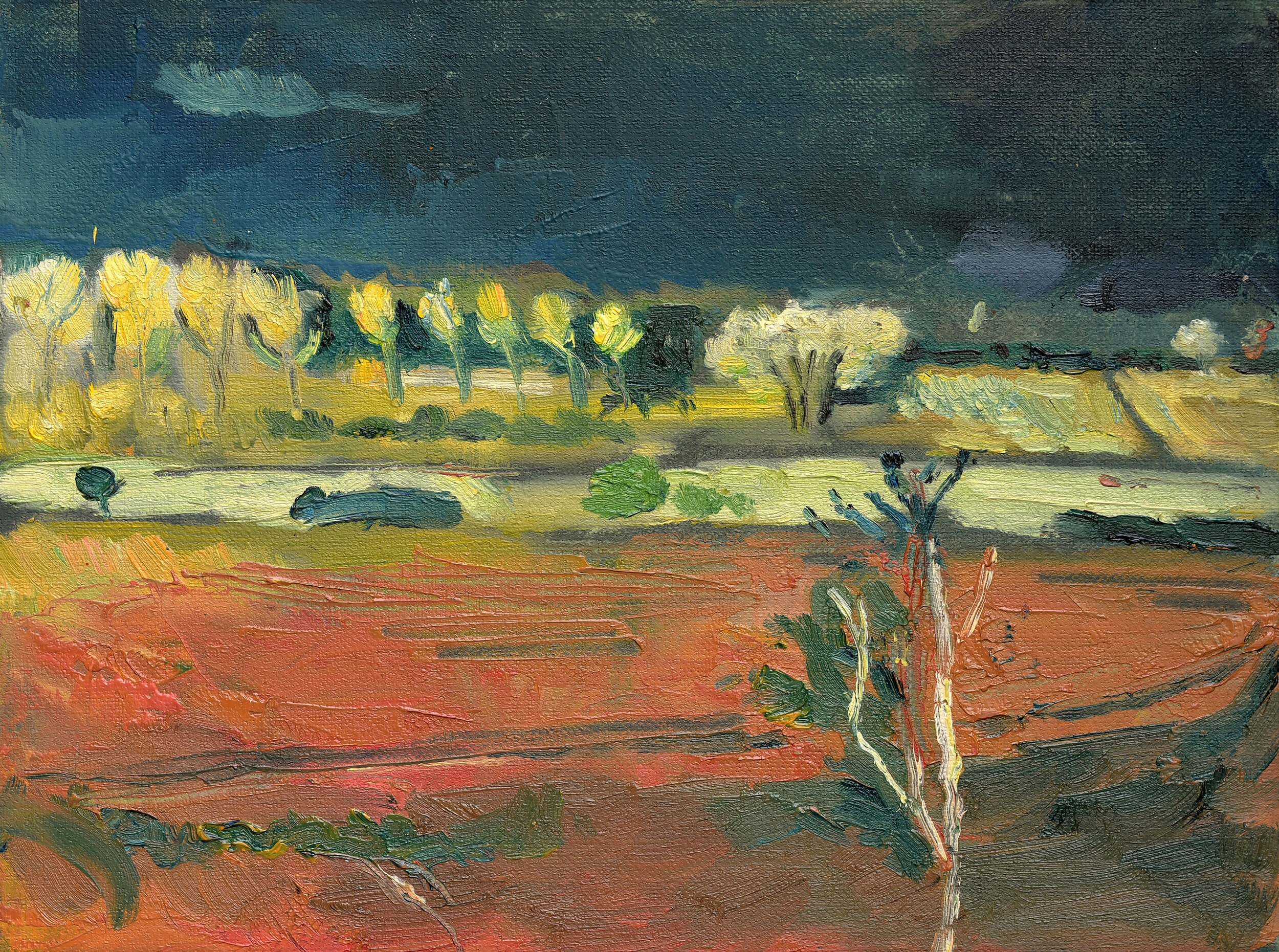 Red Field, 240x180mm, oil on linen board, price on request