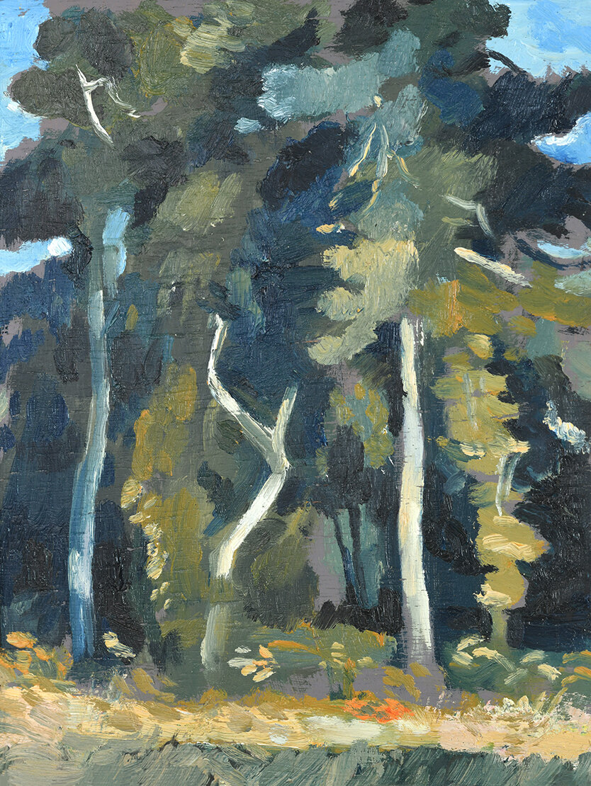 Pine Coppice 160x210mm, oil on board, price on request