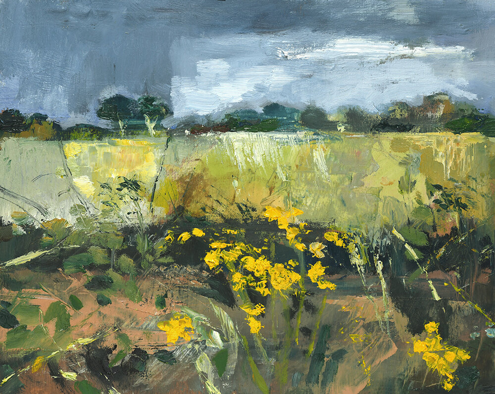 Summer Rain Passing, 255x200mm, oil on board, SOLD