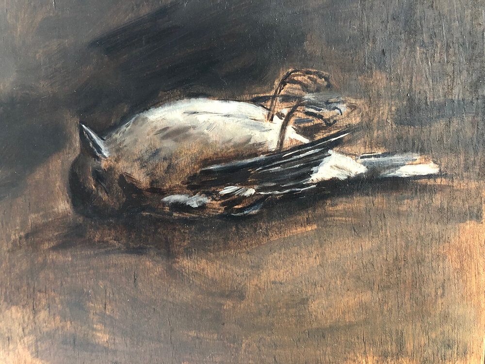 Dead Chaffinch II 210x160mm oil on board, SOLD