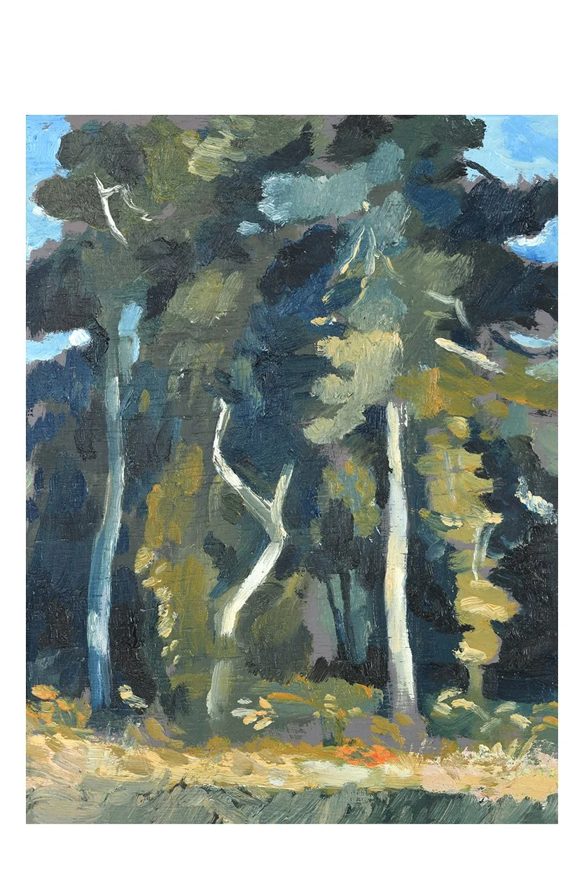 Pine Coppice 180x240mm.jpg