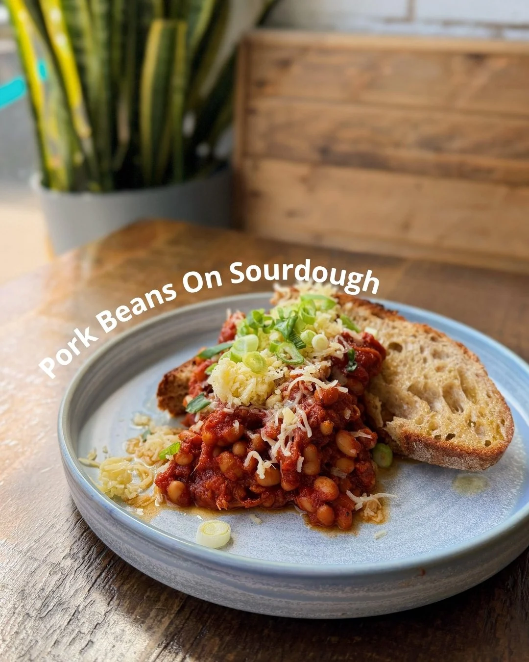 IMG_8505.jpeg
