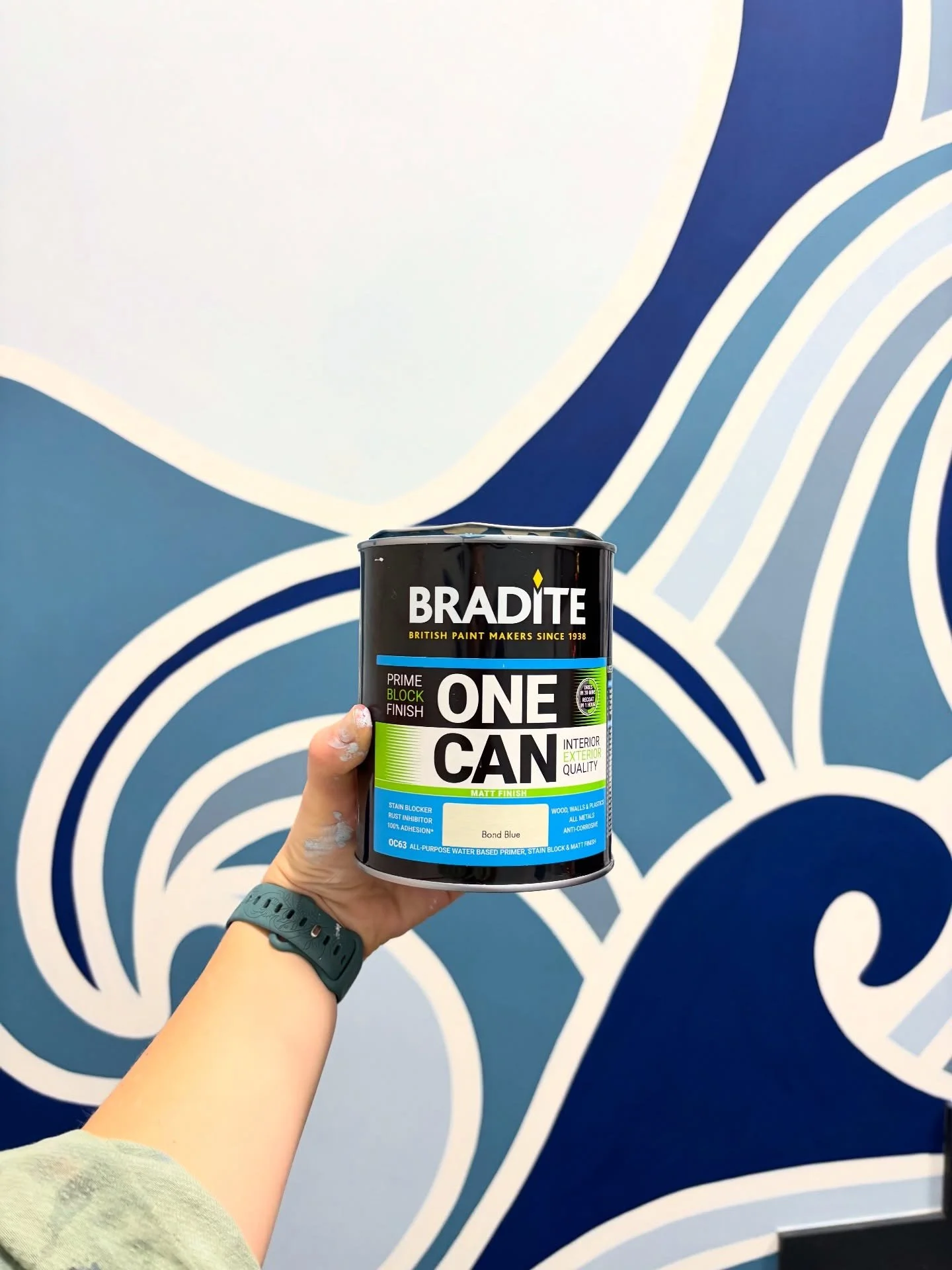 A little appreciation post for these paints 😍 Thanks so much @braditepaints for sending us your beautiful new colours to try out, they made this mural project go so smoothly 🌊