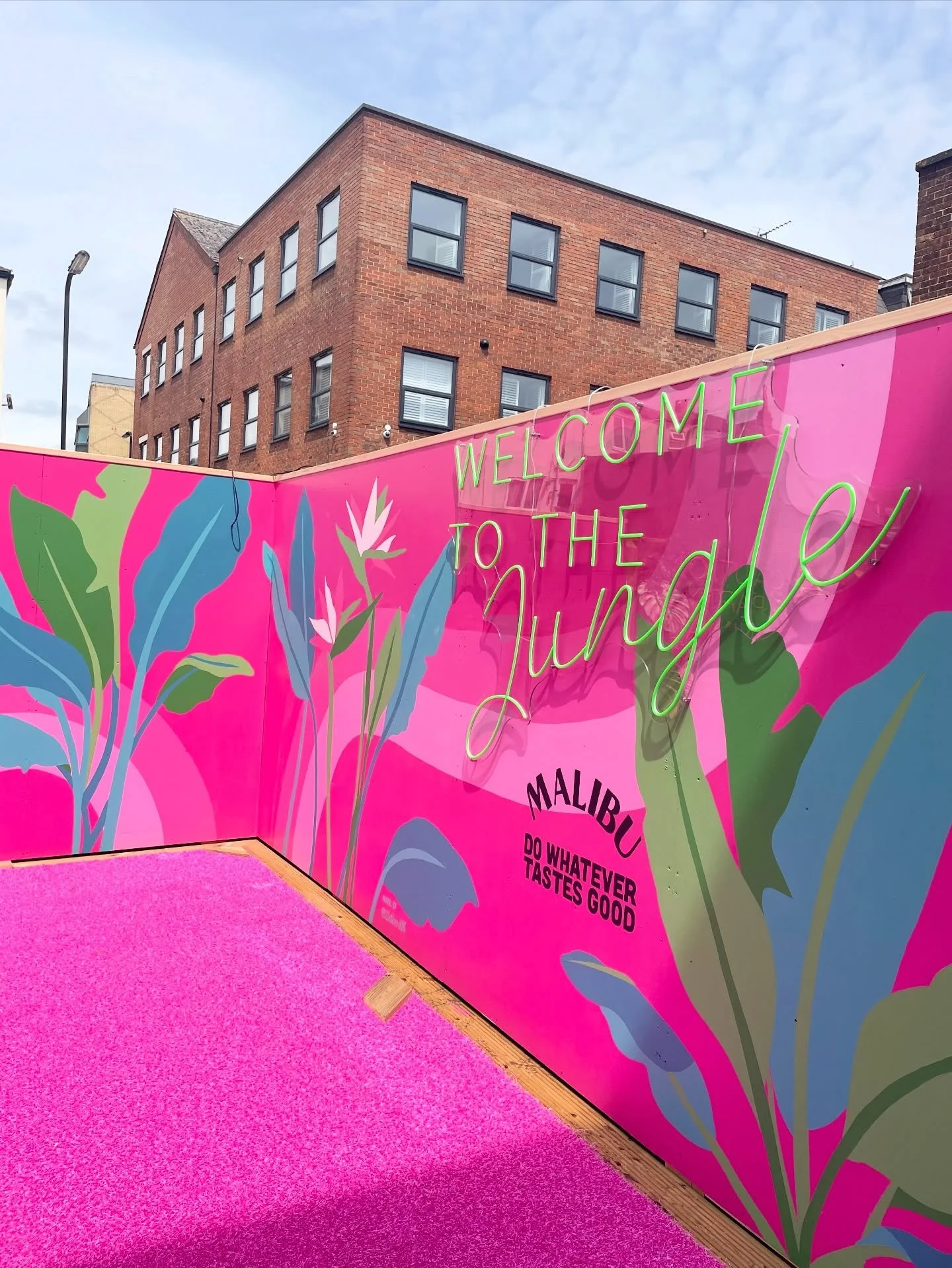 Some colour for your feed 🌈