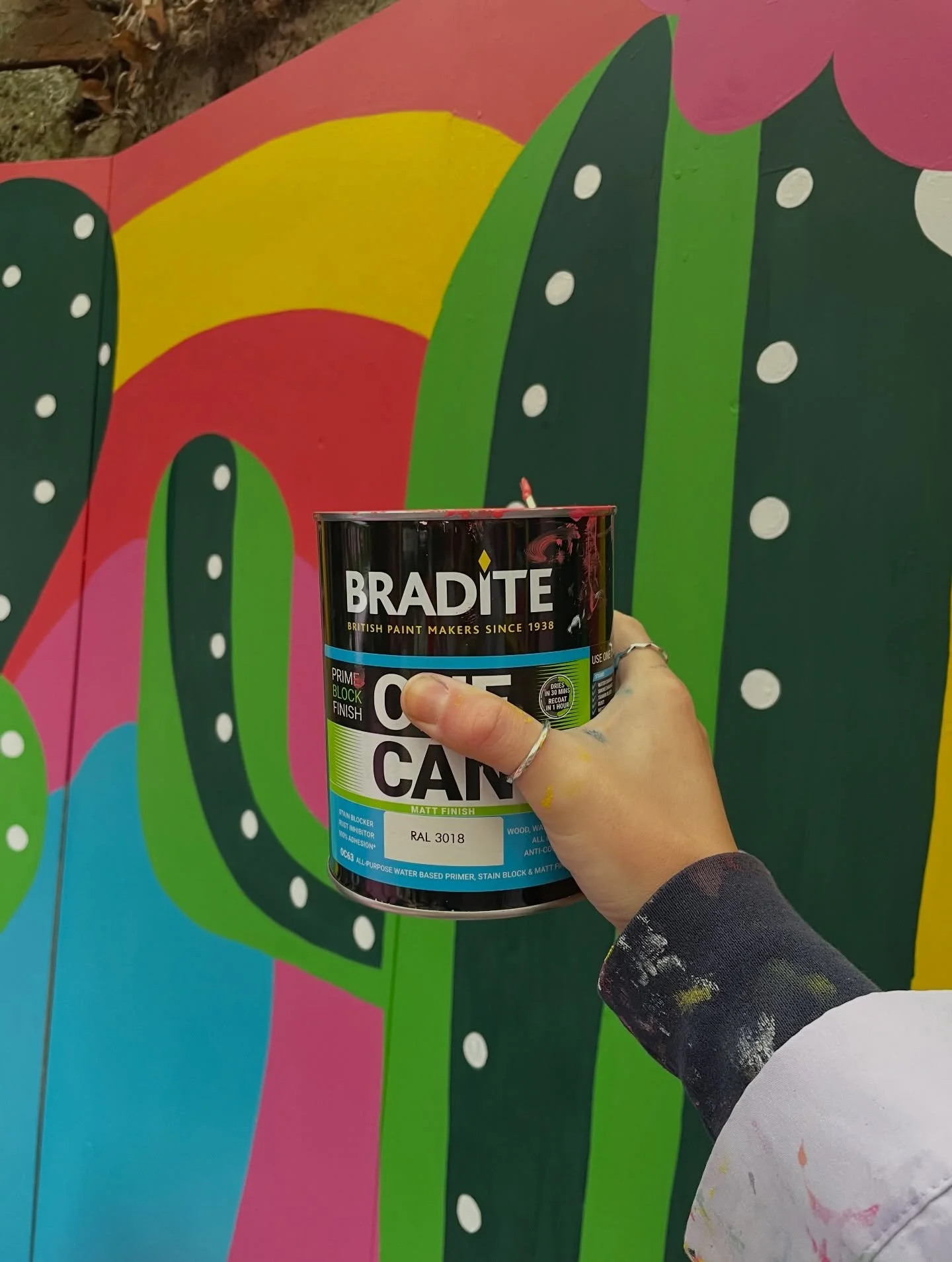 A pop of colour for your Friday! 🌈 Little shoutout to our fave paint brand @braditepaints 👩🏼&zwj;🎨