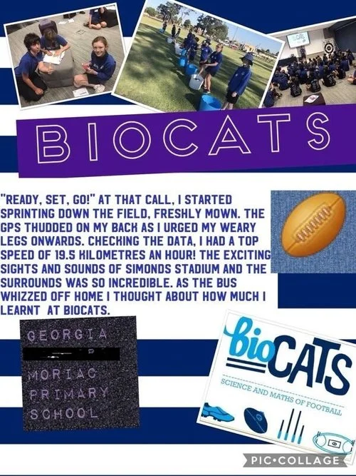 BioCats 1.jpg