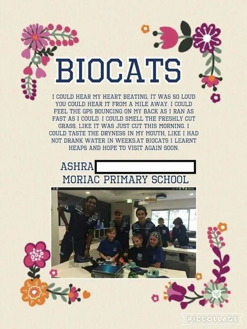 BioCats 5.jpg