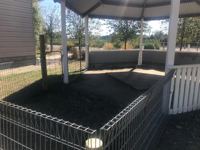 fence 3.jpg