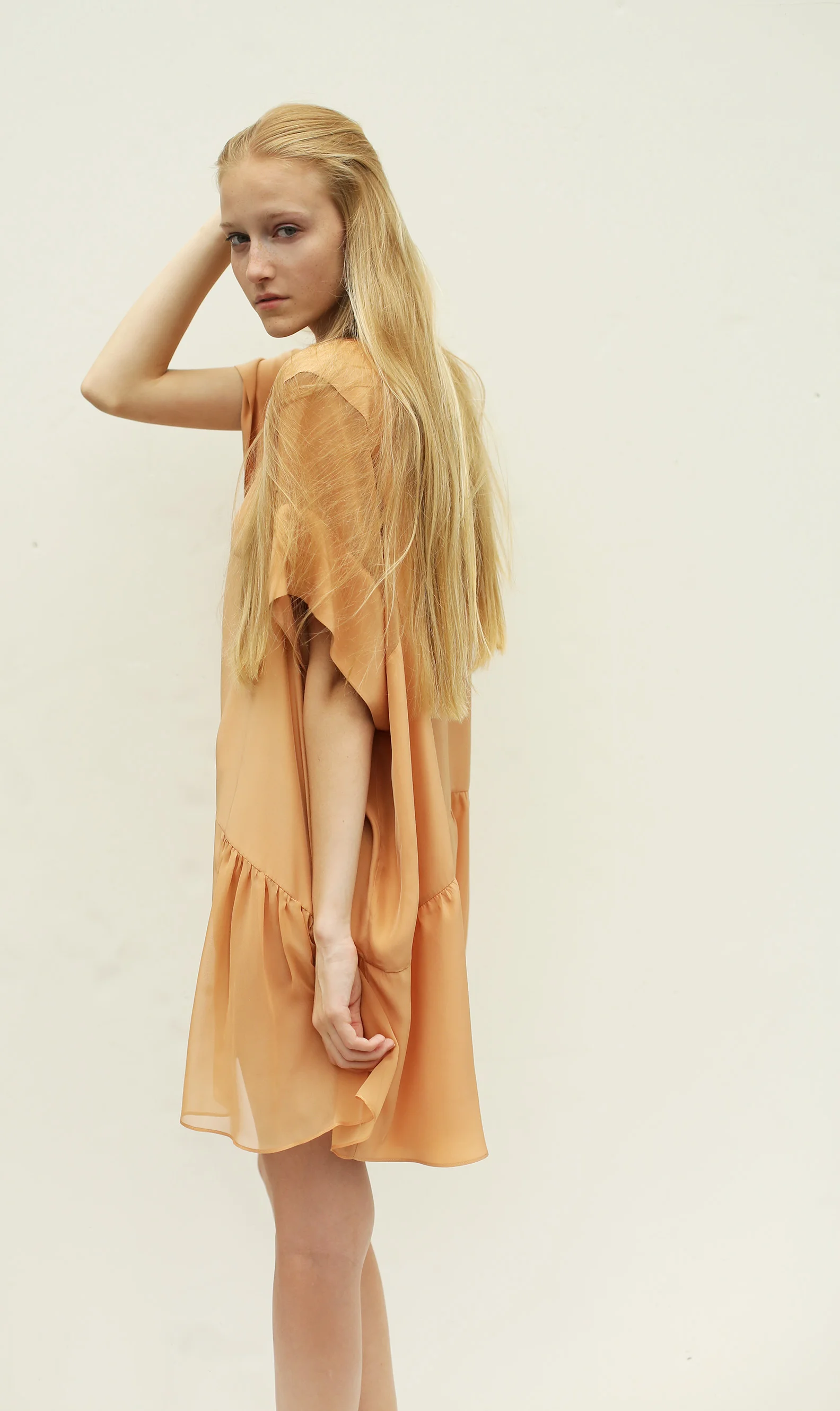 Matte silk charmeuse dress with drop sleeve and sheer silk organza inset details and button neckline