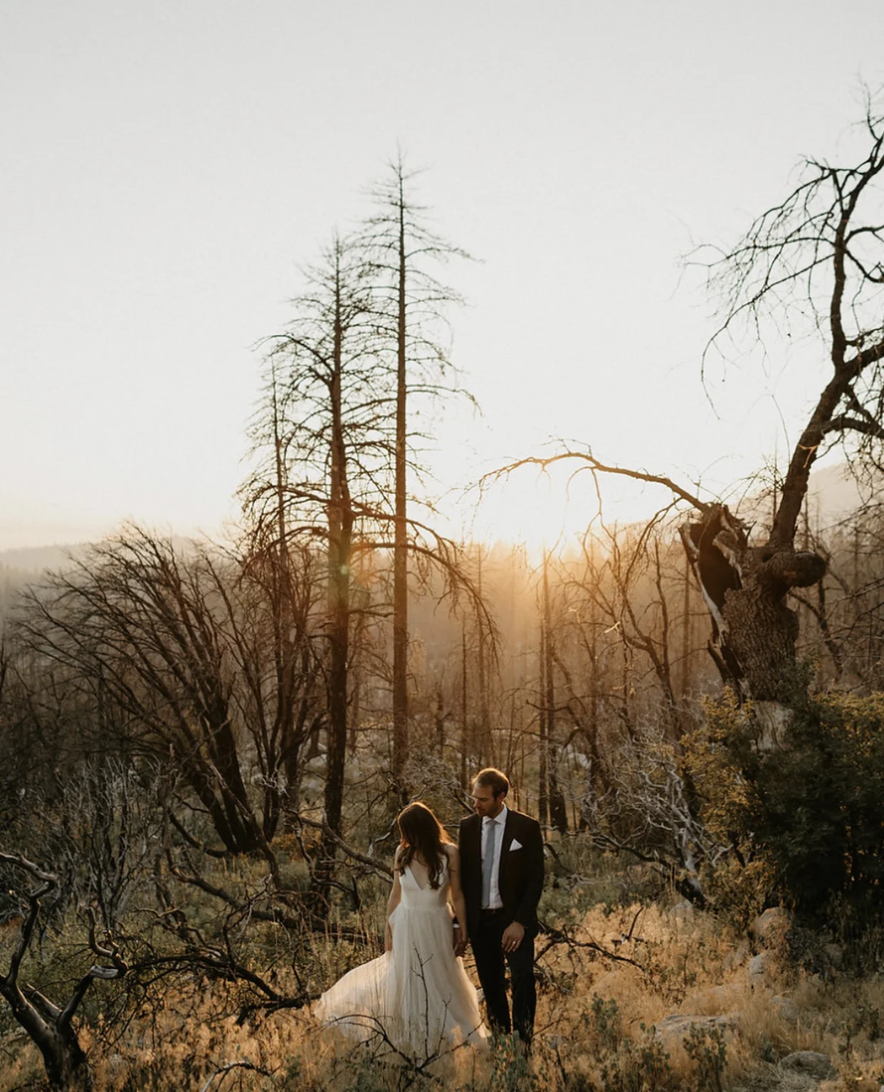 Photo by Nirav Patel