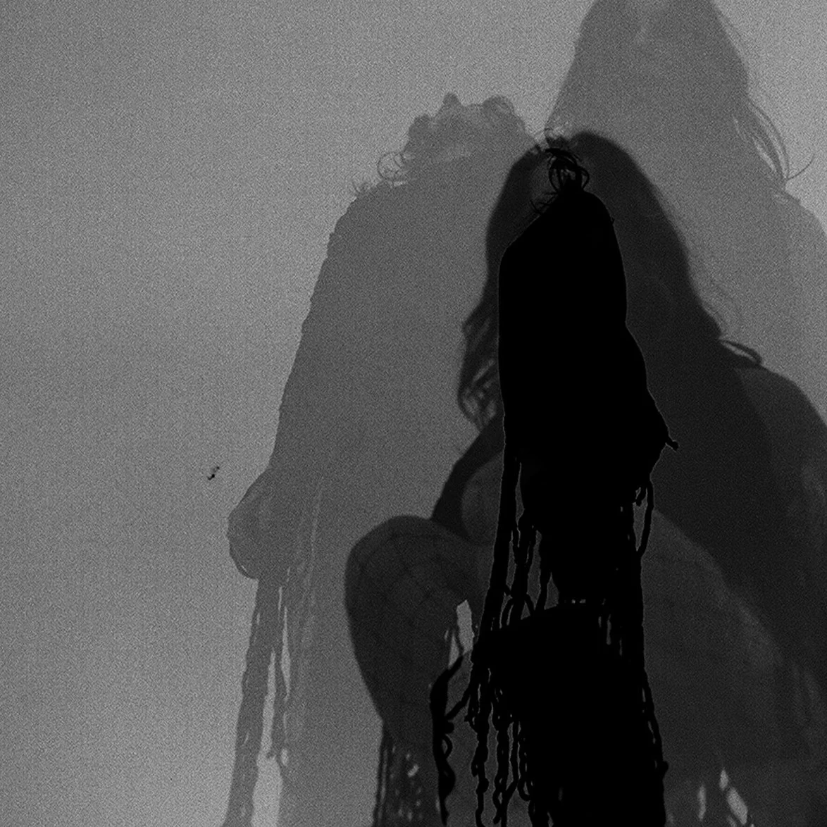 FACEBOOK: @cchelseawwolfe