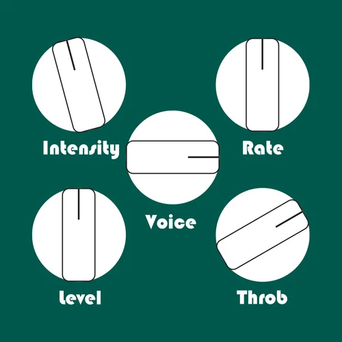 "Classic" Vibe Sound Run à 9v, taux et niveau réglés au goût. Toutes les commandes sont hautement interactives les unes avec les autres, alors expérimentez pour trouver votre ton !