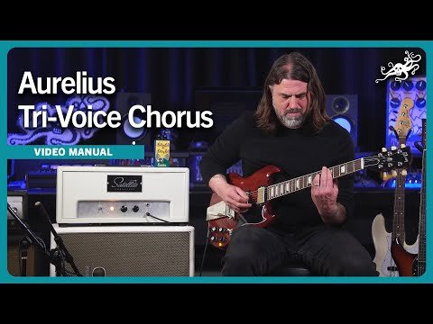 Aurelius EarthQuakerDevices Chorus 美品 Amazon.com: EarthQuaker Devices Aurelius Tri-Voice Chorus