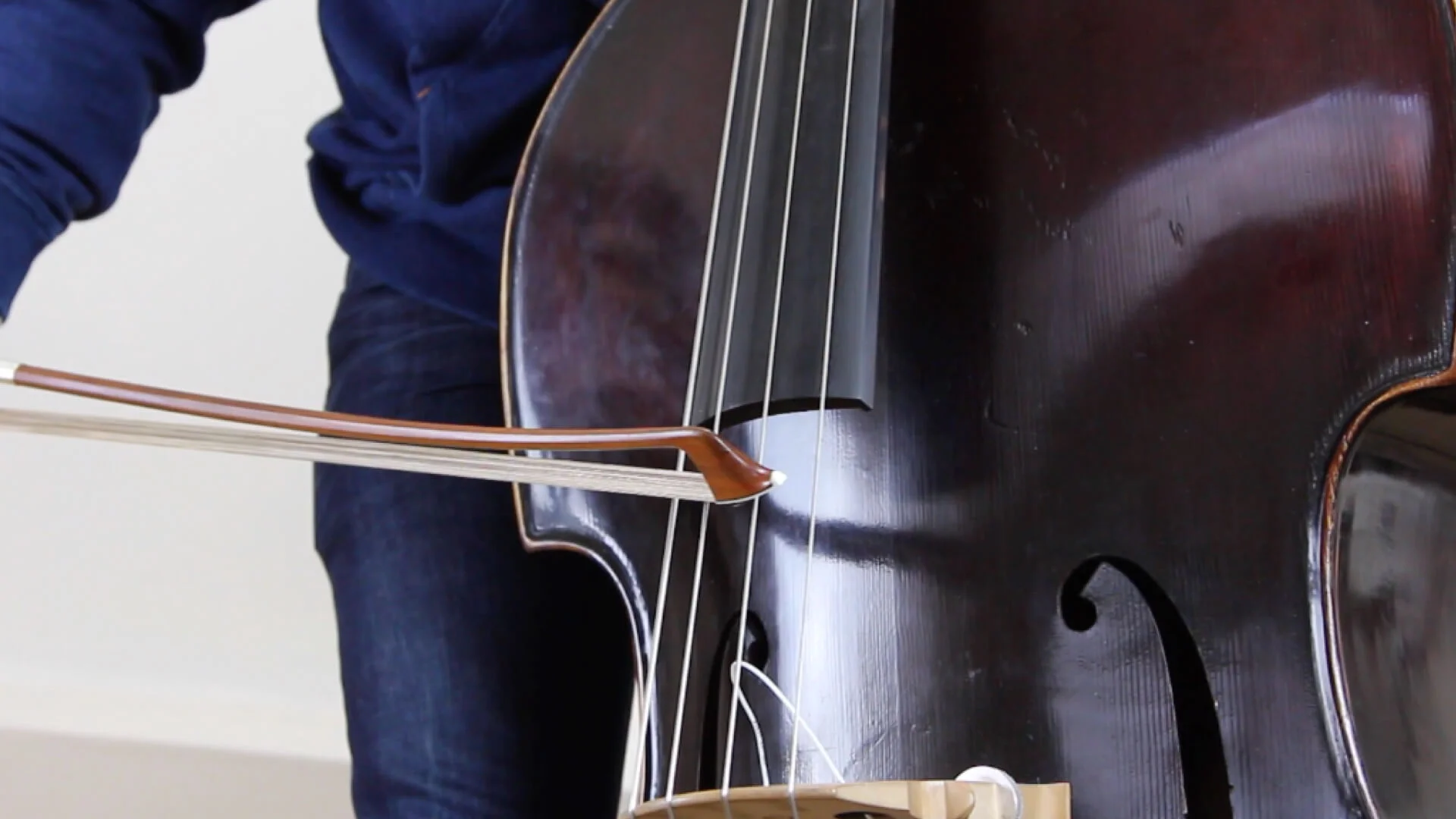 Double Bass Strings Review D’Addario Zyex — Discover Double Bass