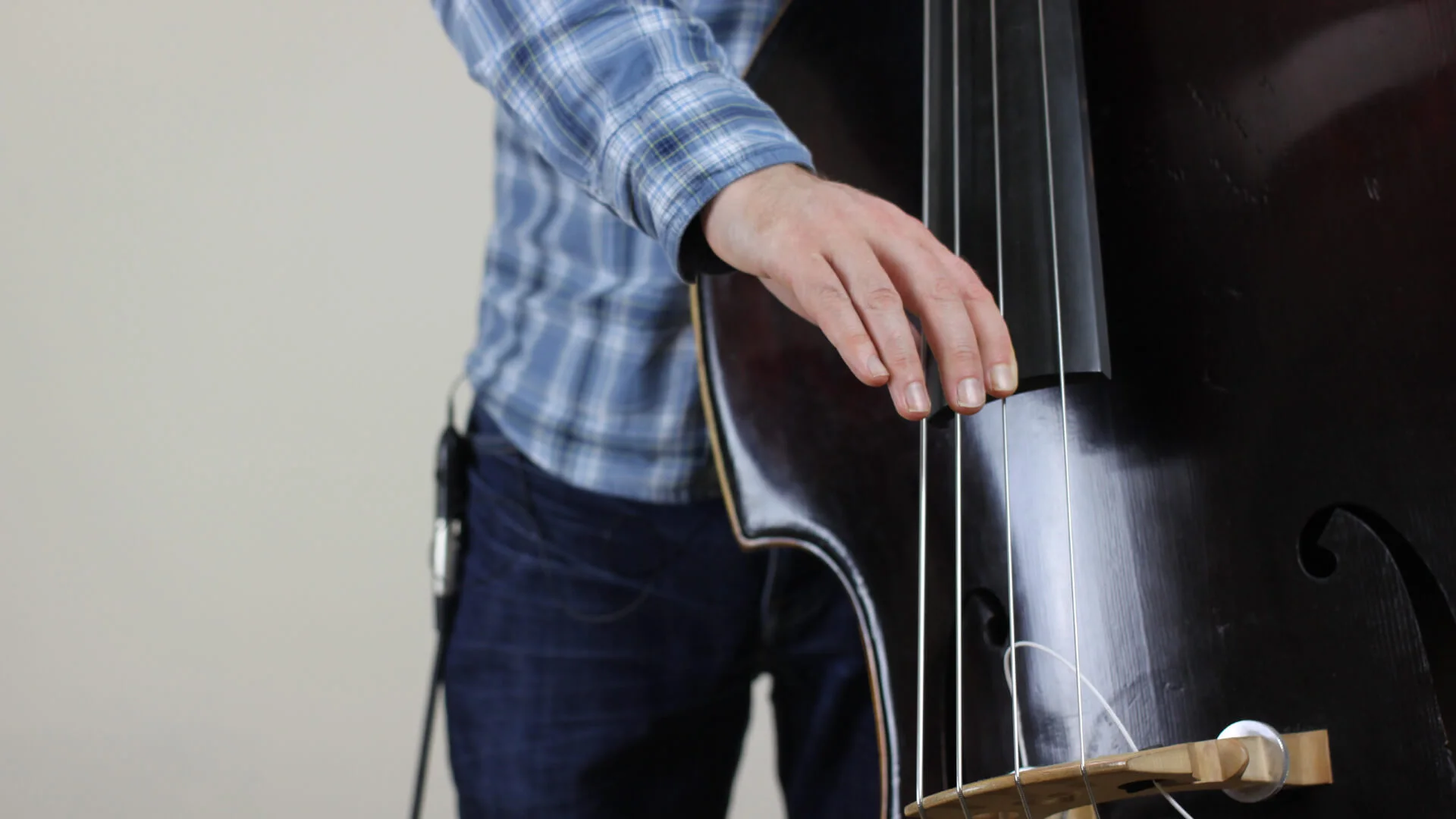 Latin Bass Riff How To Transpose Your Bass Lines — Discover Double Bass