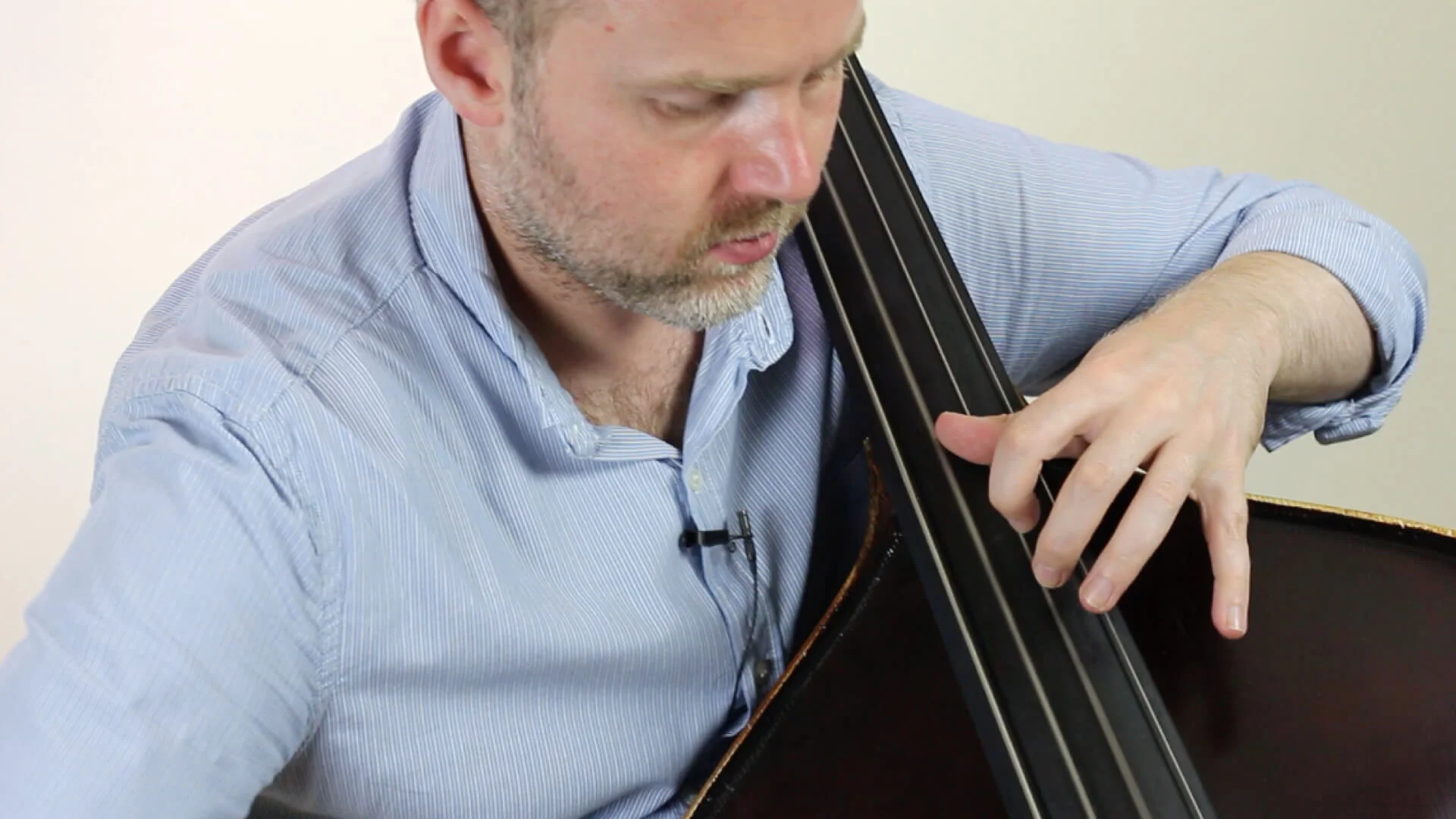 Short Double Bass Study