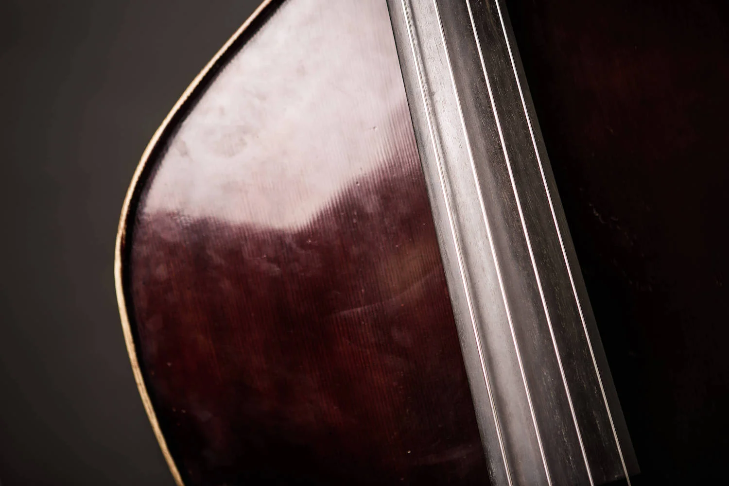 Free Double Bass Lessons Library — Discover Double Bass