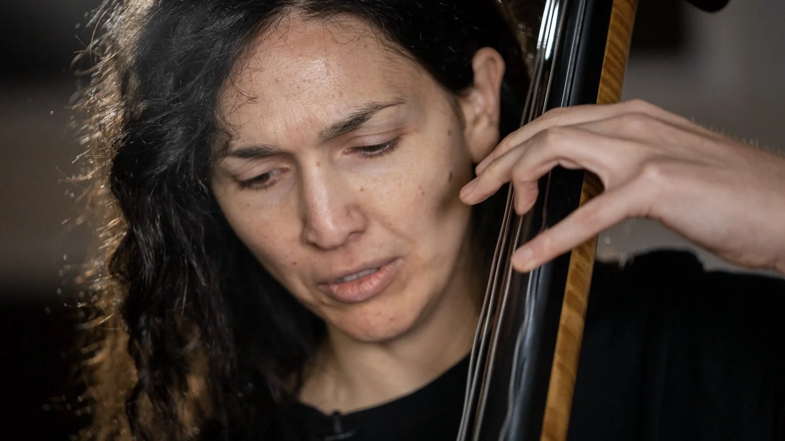 Building Melodic Bass Lines