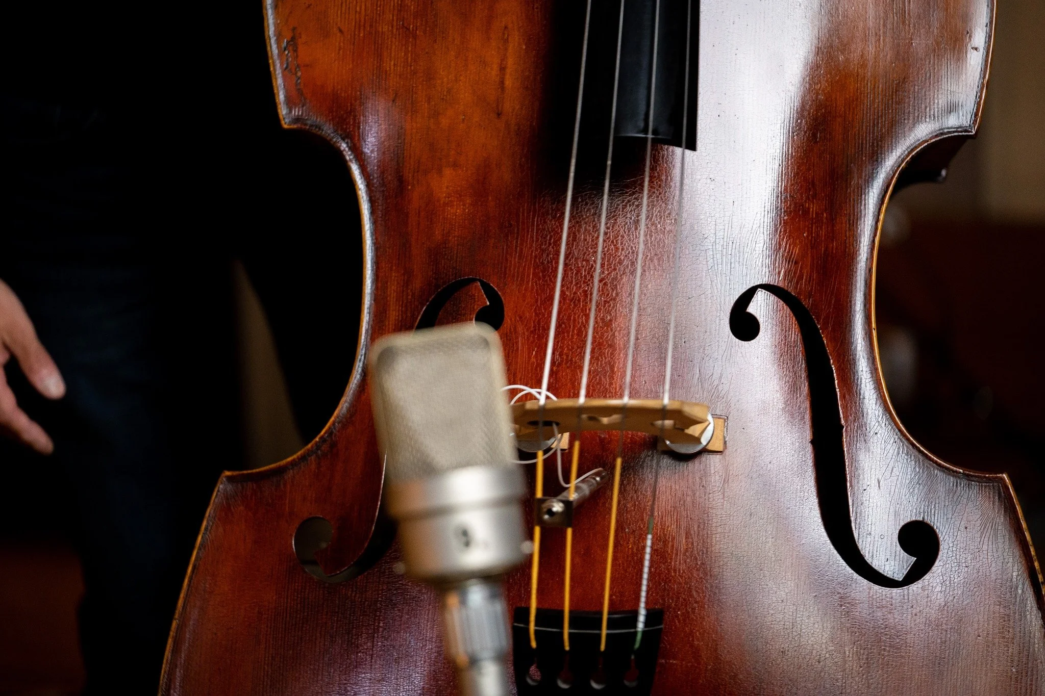 The varnish on @vladimir_torres_bassist's bass is divine! Check out our interview at DiscoverDoubleBass.com to hear it in action and learn about this wonderful player. 

#doublebass #contrabass #uprightbass #baixoacustico #baixonatural #kontrabass #c