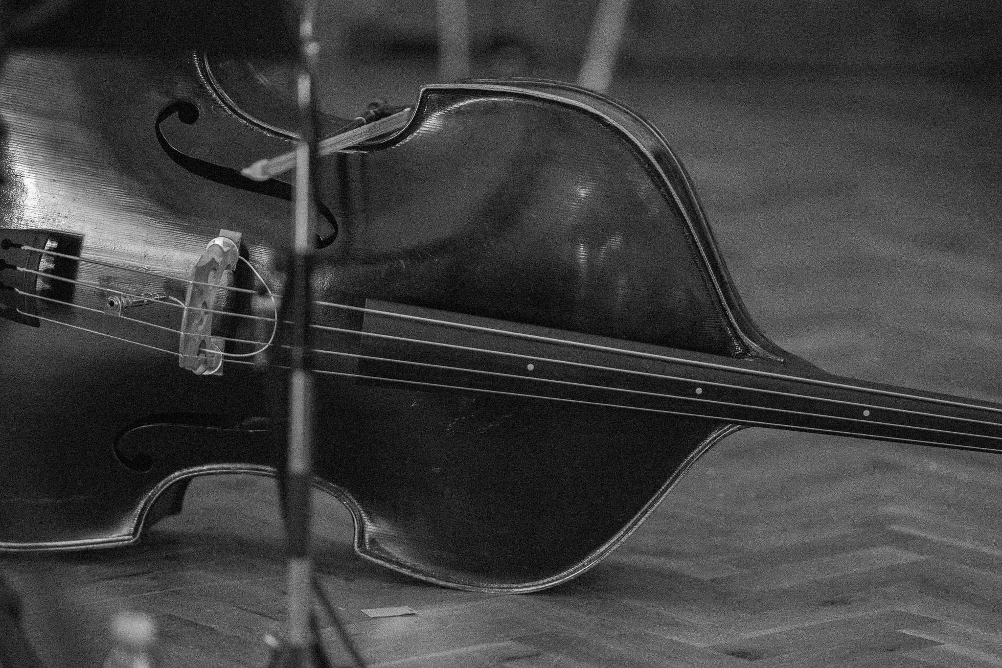 🧐🎅🎄 Do you have any double bass gifts on your wish list? 🤞