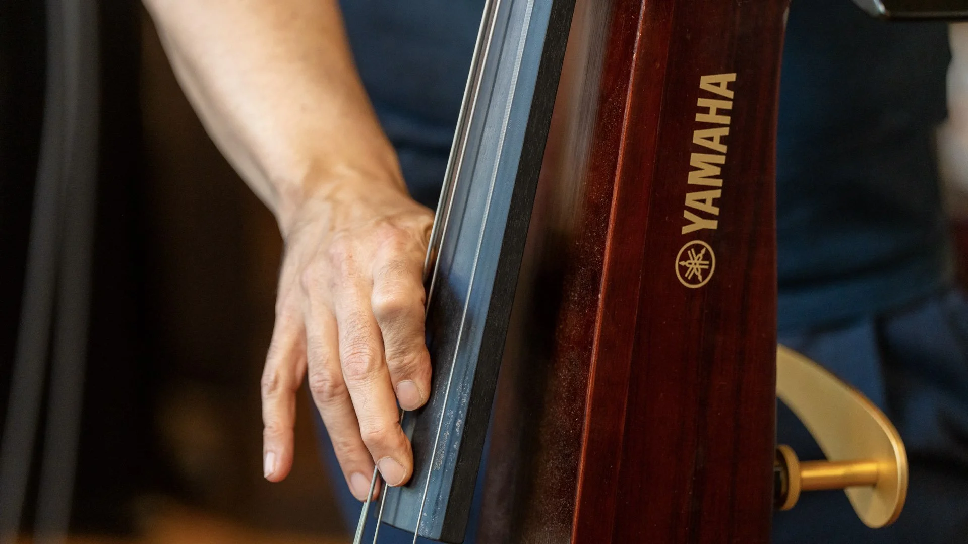 Effects for Upright Bass