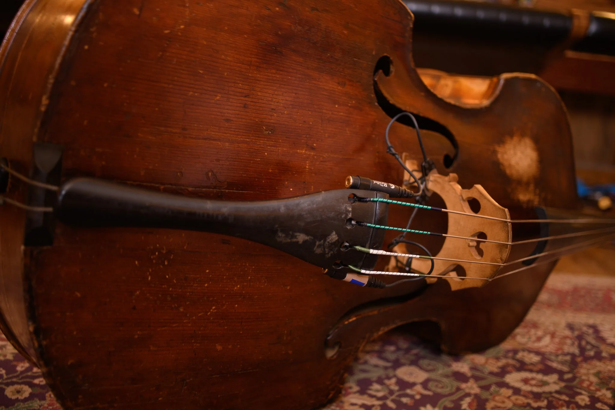 A closer look at the mighty @chriswoodbassmusic's double bass. I love the mix of @pirastroofficial  Evahs and Olivs! Such a rich and expressive tone. 😍