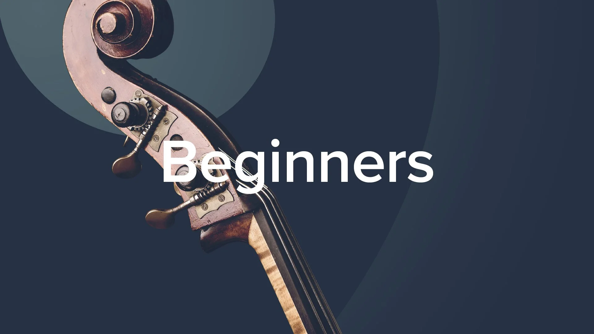 Top 10 Beginner Double Bass Lessons — Discover Double Bass